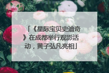 《星际宝贝史迪奇》在成都举行观影活动，黄子弘凡亮相