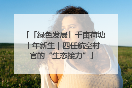 「绿色发展」千亩荷塘 十年新生｜四任航空村官的“生态接力”
