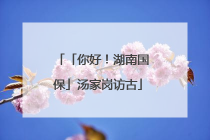 「你好！湖南国保」汤家岗访古