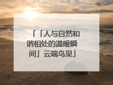 「人与自然和谐相处的温暖瞬间」云端鸟巢