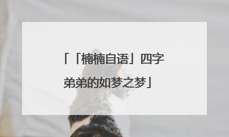 「楠楠自语」四字弟弟的如梦之梦