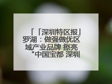 「深圳特区报」罗湖：做强做优区域产业品牌 擦亮“中国宝都 深圳水贝”金字招牌