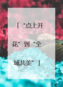 “点上开花”到“全域共美”