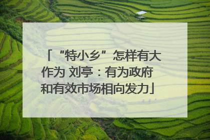 “特小乡”怎样有大作为 刘亭：有为政府和有效市场相向发力