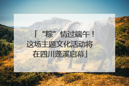 “粽”情过端午！这场主题文化活动将在四川蓬溪启幕
