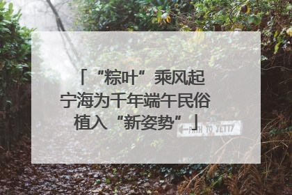 “粽叶”乘风起 宁海为千年端午民俗植入“新姿势”