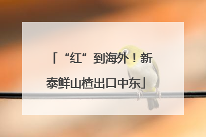 “红”到海外！新泰鲜山楂出口中东