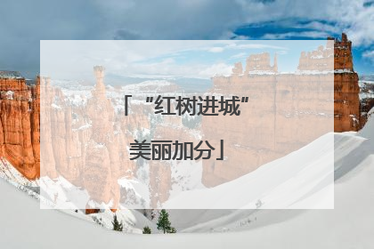 “红树进城” 美丽加分