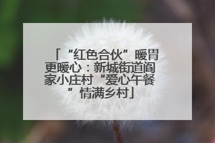 “红色合伙”暖胃更暖心：新城街道阎家小庄村“爱心午餐”情满乡村