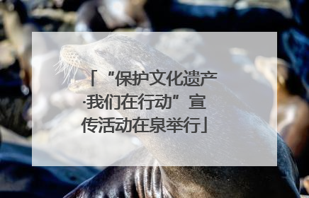 “保护文化遗产·我们在行动”宣传活动在泉举行