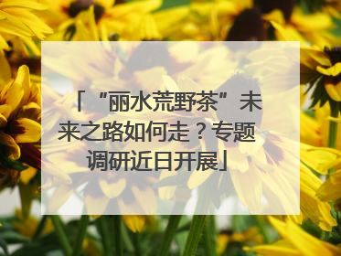 “丽水荒野茶”未来之路如何走？专题调研近日开展