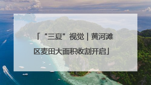 “三夏”视觉｜黄河滩区麦田大面积收割开启