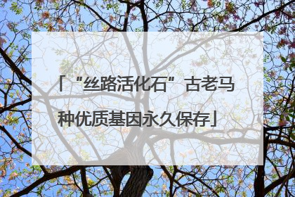 “丝路活化石”古老马种优质基因永久保存