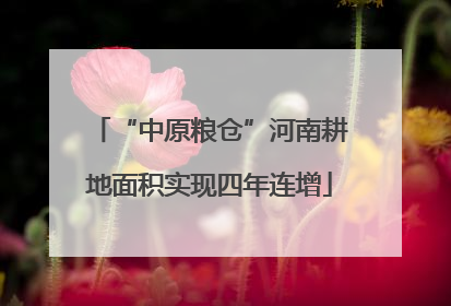 “中原粮仓”河南耕地面积实现四年连增