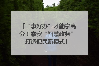 “事好办”才能拿高分！泰安“智慧政务”打造便民新模式