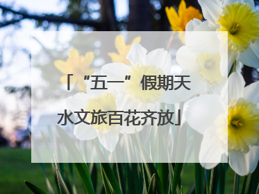 “五一”假期天水文旅百花齐放