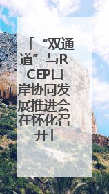 “双通道”与RCEP口岸协同发展推进会在怀化召开