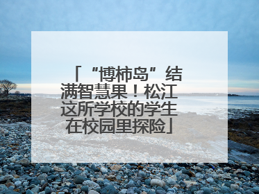 “博柿岛”结满智慧果！松江这所学校的学生在校园里探险