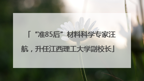 “准85后”材料科学专家汪航，升任江西理工大学副校长