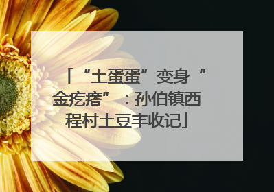 “土蛋蛋”变身“金疙瘩”：孙伯镇西程村土豆丰收记