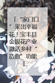 “家门口”采出幸福花！宝丰县金银花产业激活乡村“造血”功能