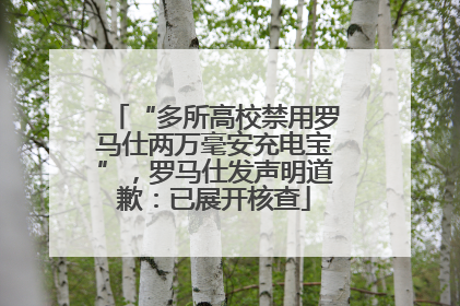 “多所高校禁用罗马仕两万毫安充电宝”，罗马仕发声明道歉：已展开核查