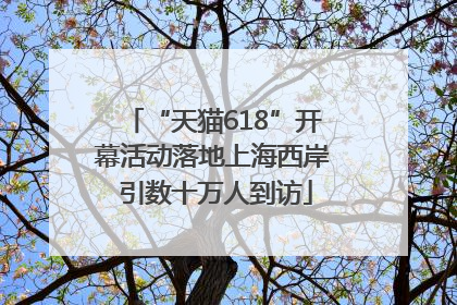 “天猫618”开幕活动落地上海西岸 引数十万人到访
