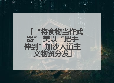 “将食物当作武器” 美以“把手伸到”加沙人道主义物资分发