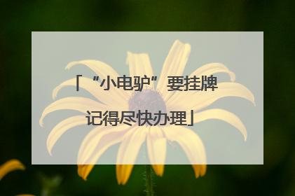 “小电驴”要挂牌 记得尽快办理