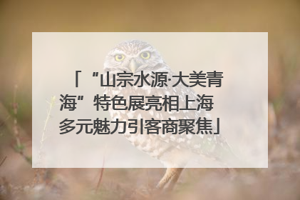 “山宗水源·大美青海”特色展亮相上海 多元魅力引客商聚焦