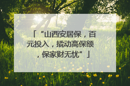“山西安居保，百元投入，撬动高保额，保家财无忧”