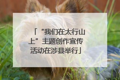 “我们在太行山上”主题创作宣传活动在涉县举行