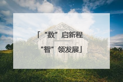 “数”启新程 “智”领发展