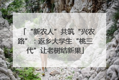 “新农人”共筑“兴农路”：返乡大学生“桃三代”让老树结新果