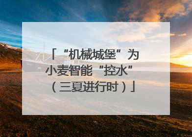 “机械城堡”为小麦智能“控水”（三夏进行时）