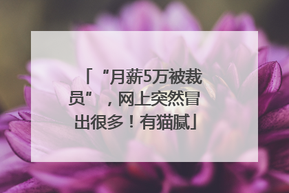 “月薪5万被裁员”，网上突然冒出很多！有猫腻