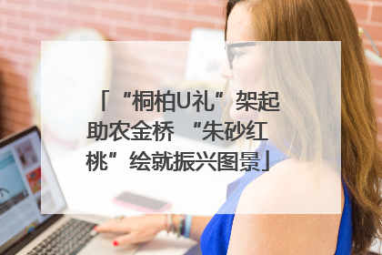 “桐柏U礼”架起助农金桥 “朱砂红桃”绘就振兴图景