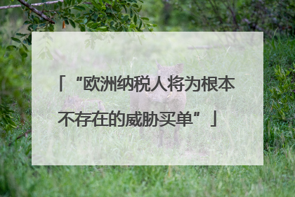 “欧洲纳税人将为根本不存在的威胁买单”