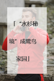 “水杉秘境”成鹭鸟家园