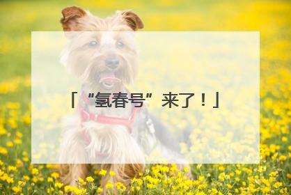 “氢春号”来了！