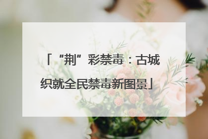“荆”彩禁毒：古城织就全民禁毒新图景