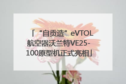 “自贡造”eVTOL航空器沃兰特VE25-100原型机正式亮相