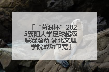 “茵浪杯”2025襄阳大学足球超级联赛落幕 湖北文理学院成功卫冕