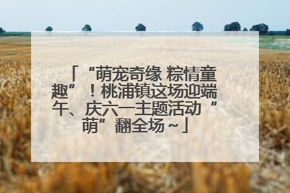 “萌宠奇缘 粽情童趣”！桃浦镇这场迎端午、庆六一主题活动“萌”翻全场～