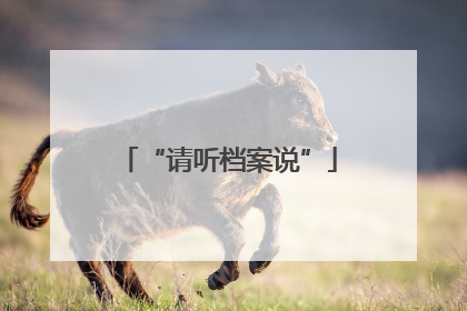 “请听档案说”