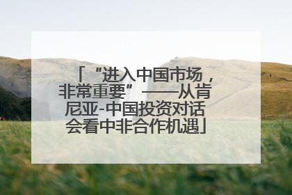 “进入中国市场，非常重要”——从肯尼亚-中国投资对话会看中非合作机遇