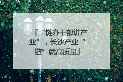 “链办干部讲产业”，长沙产业“链”就高质量