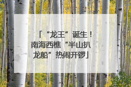 “龙王”诞生！南海西樵“半山扒龙船”热闹开锣