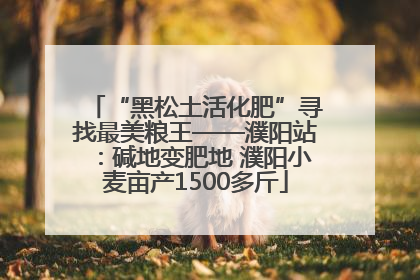 “黑松土活化肥”寻找最美粮王——濮阳站：碱地变肥地 濮阳小麦亩产1500多斤