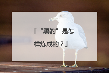 “黑豹”是怎样炼成的？